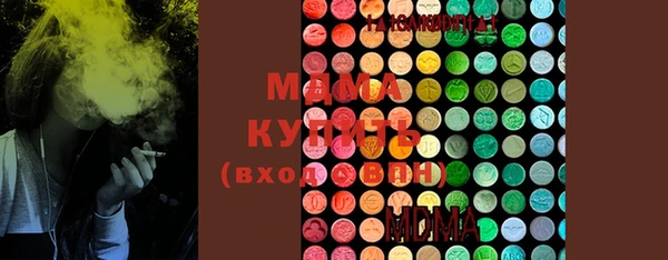 индика Новозыбков