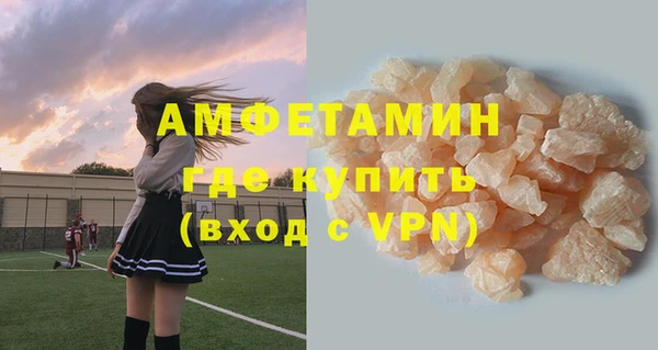 индика Новозыбков