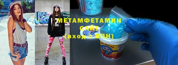 индика Новозыбков