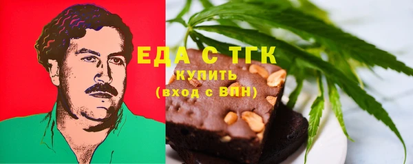 индика Новозыбков