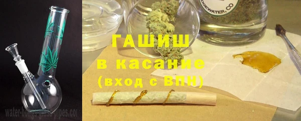 индика Новозыбков
