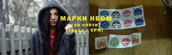 индика Новозыбков