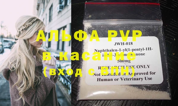 индика Новозыбков