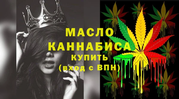 индика Новозыбков