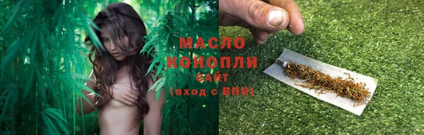 индика Новозыбков