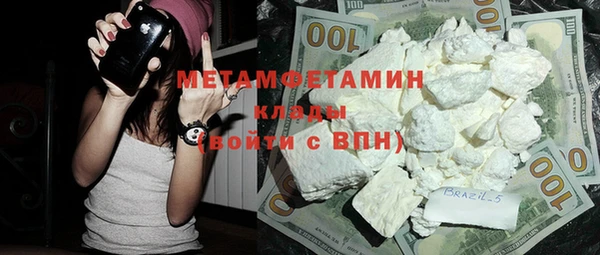 индика Новозыбков