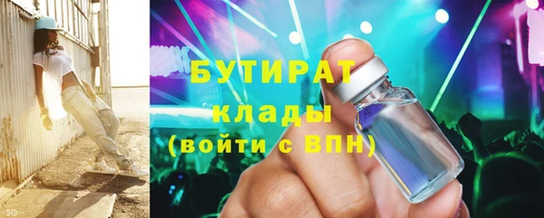 индика Новозыбков
