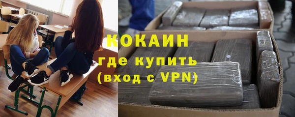 индика Новозыбков