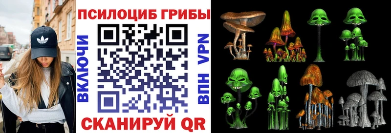 Галлюциногенные грибы MAGIC MUSHROOMS Купить закладки Сосновый Бор